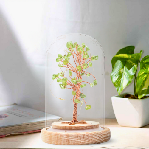 BONSAI LUMINEUX PÉRIDOT SOUS CLOCHE