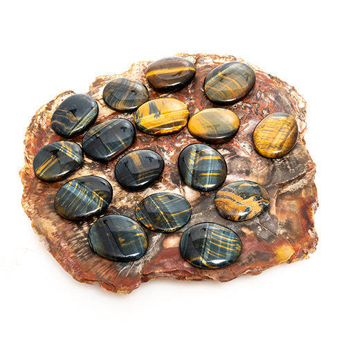 GALET ŒIL DE FAUCON